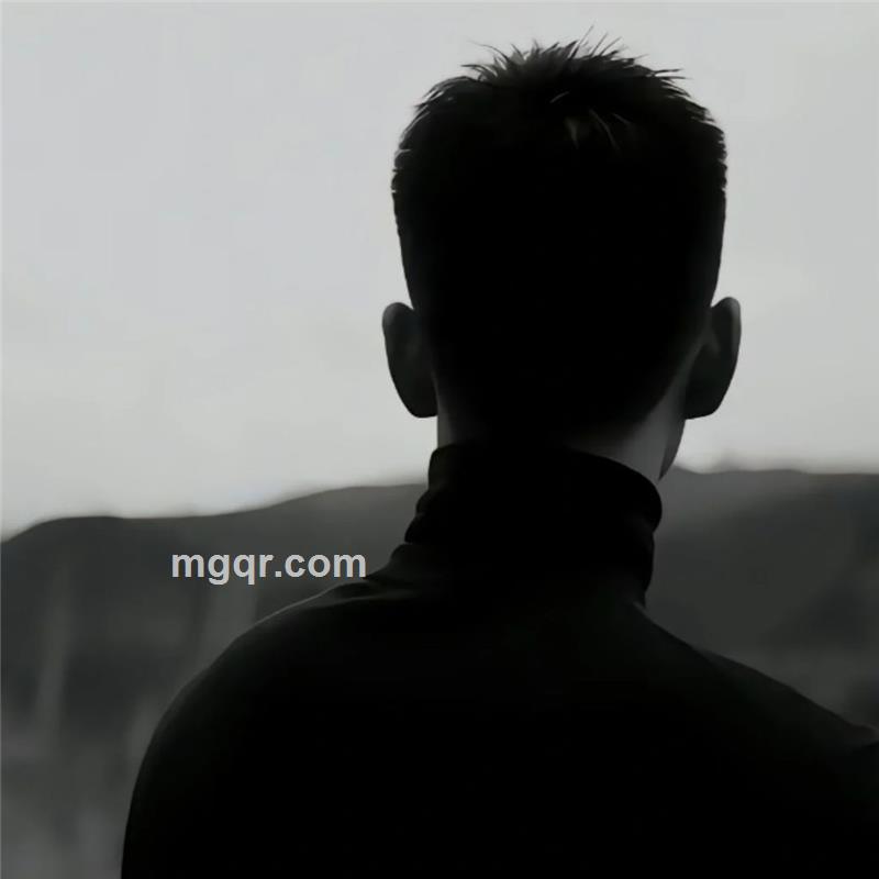 264112734jie的头像