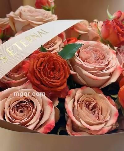 子夜飘雪的头像