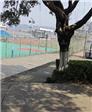 无心爱的头像