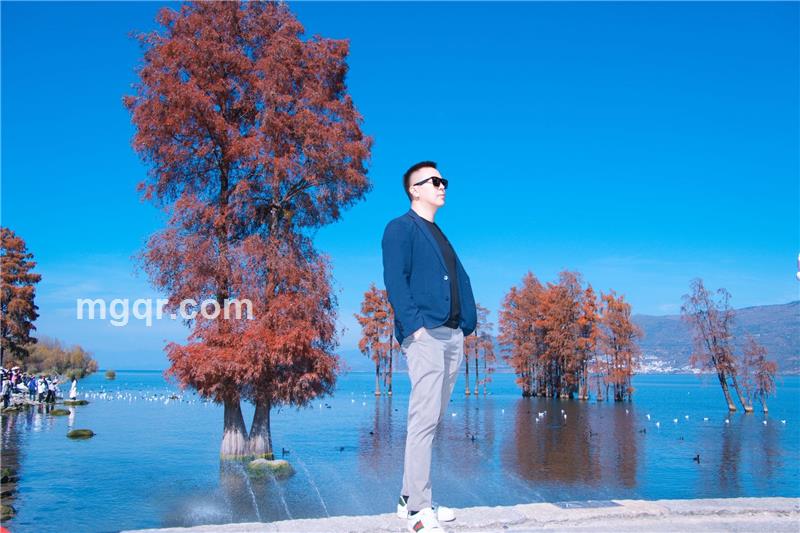 落花人独立。的头像