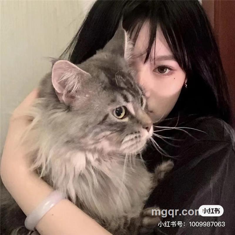 卡布基诺的头像