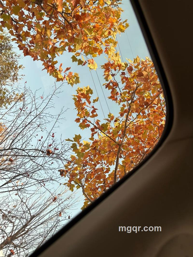 缘来是你的头像