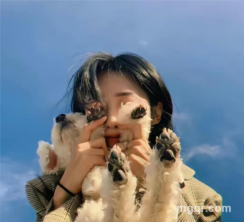 蛋糕和面包的头像