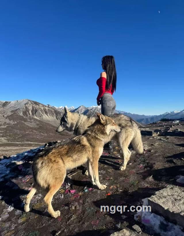 会员5514126的头像