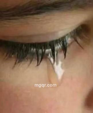 优雅如兰的头像