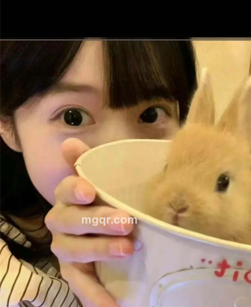 不吃兔兔的头像