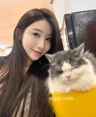 Hdvxs芒果的头像