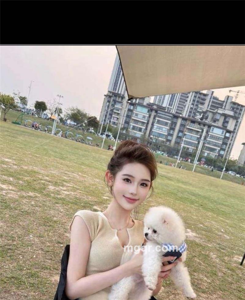 小蜜蜂🐝的头像