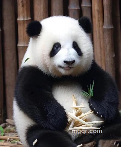 知足常乐的头像