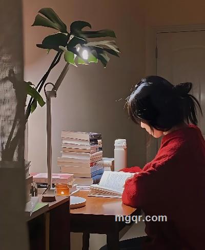 温糯小欢喜的头像