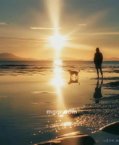 记得要帅气的头像