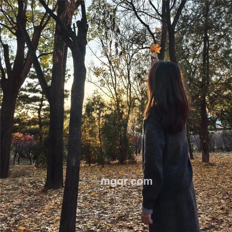 苏黎世的夏天的头像