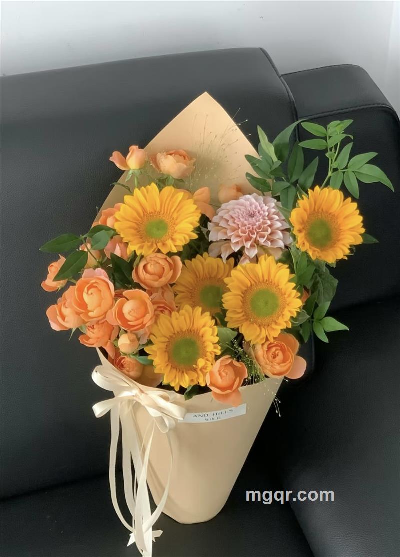 月亮不亮的头像