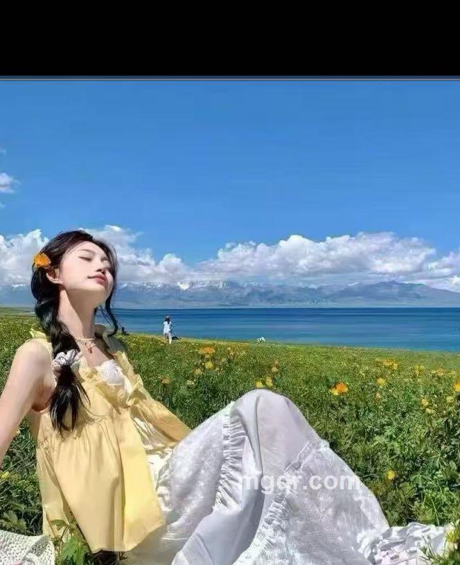 橘子海的猫的头像