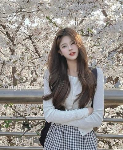 会员5527801的头像