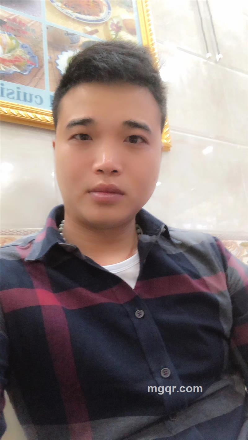 会飞的鱼的头像