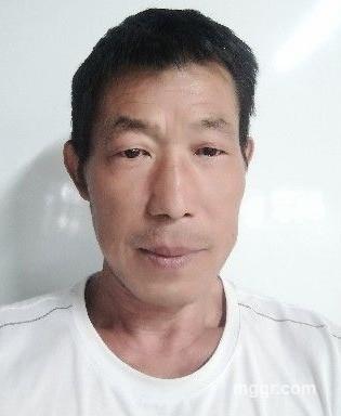 狼行天下的头像