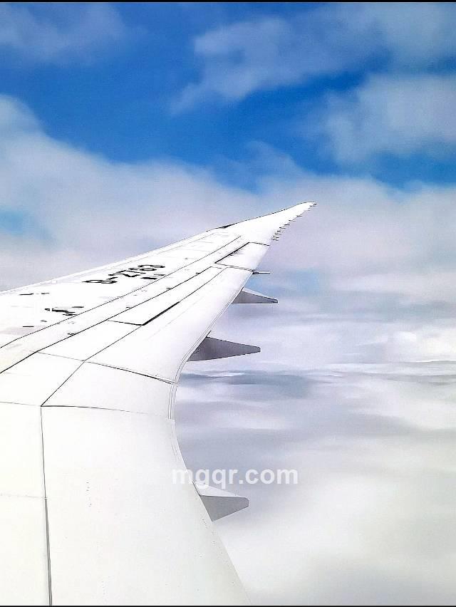 会员5528354的头像