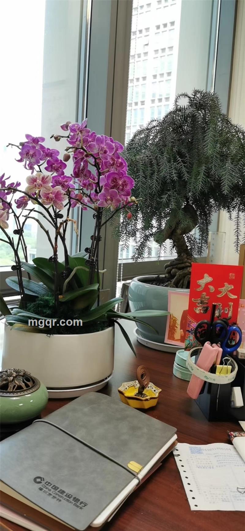 茜茜6886688的头像