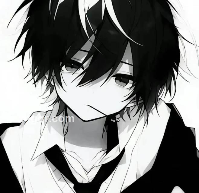 会员5528657的头像