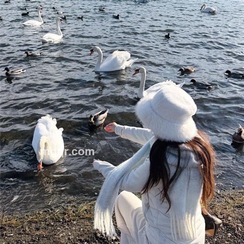 香水百合的头像