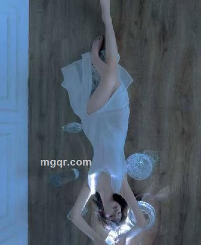 会员5528825的头像