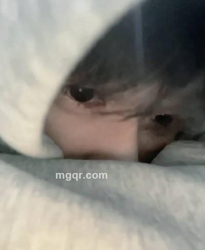 会员5523533的头像