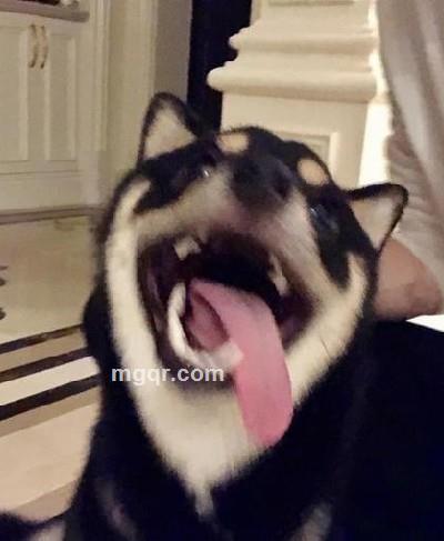 豆沙可乐的头像