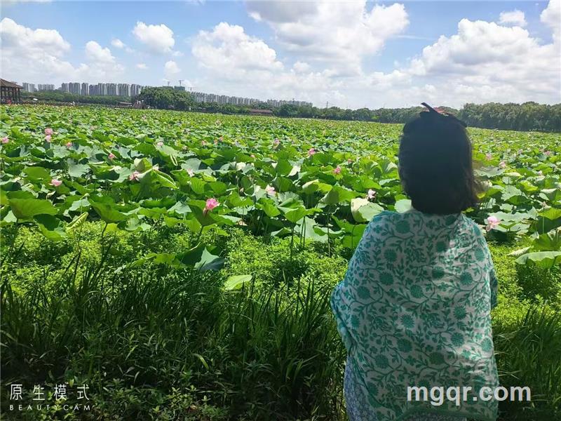 奶油芝士的头像