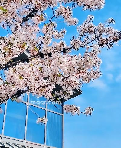 会员5371965的头像