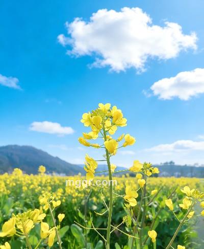 会员5371965的头像