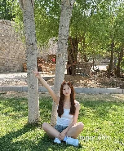 南瓜饼的头像