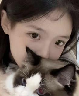 以留下联系方式的头像