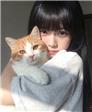 小困困💤的头像