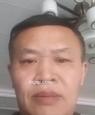 自由人的头像