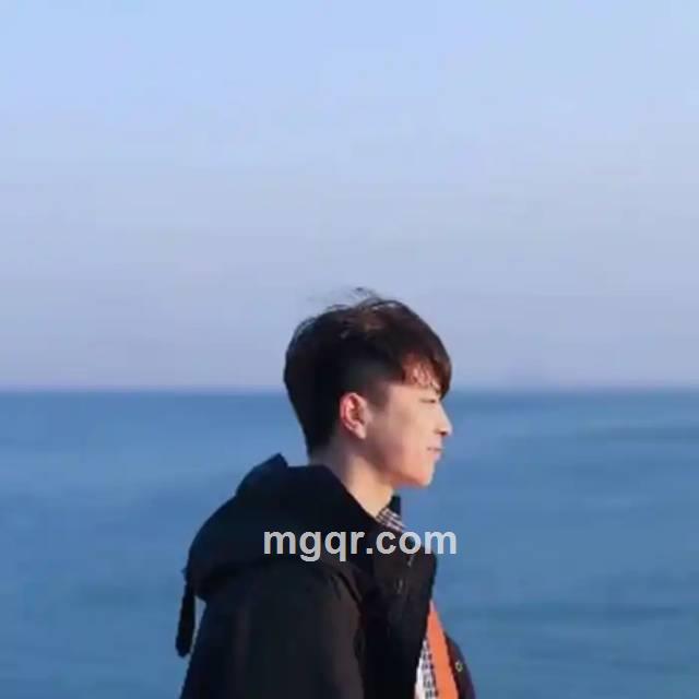 树下绿荫的头像