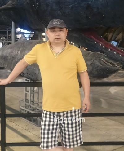 wq808的头像