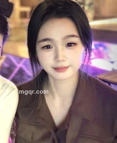 吉娃娃的头像