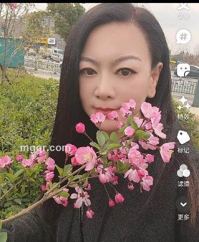九尾狐的头像
