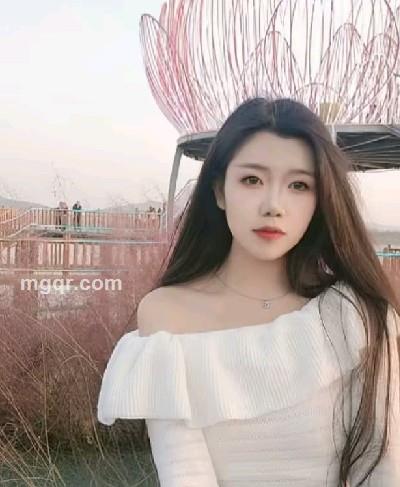 燕子的头像