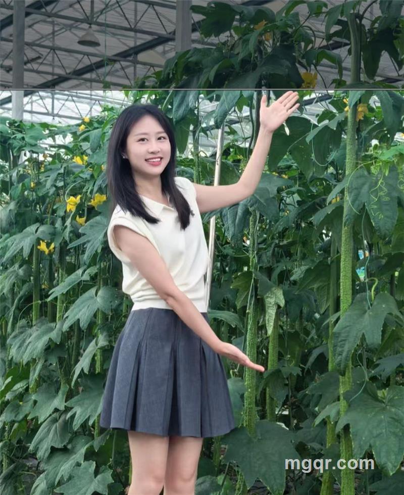 燕子的头像