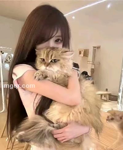 C c的头像