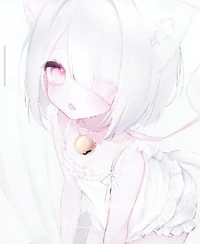 猫咪的头像