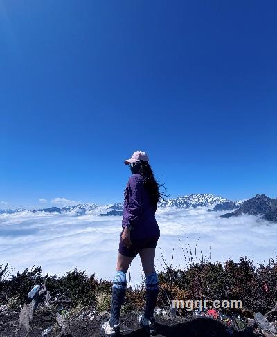 衣裳湿半的头像