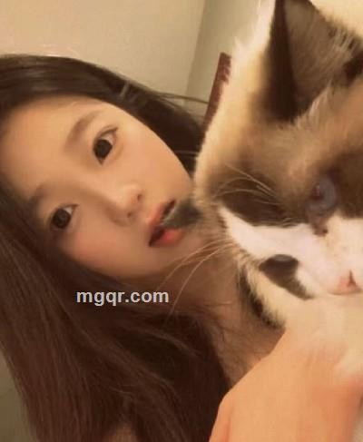 萌葫的头像