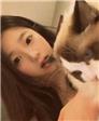 萌葫的头像