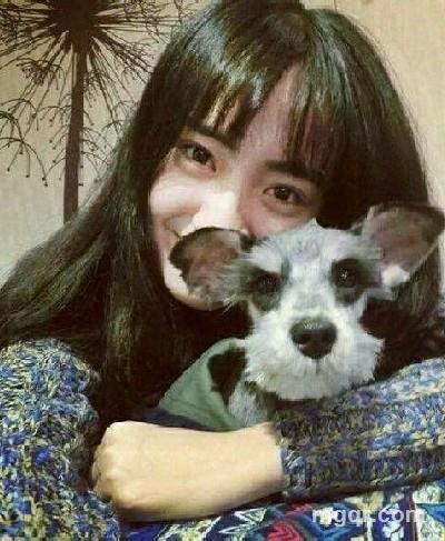 花栗鼠爱吃巧克力的头像