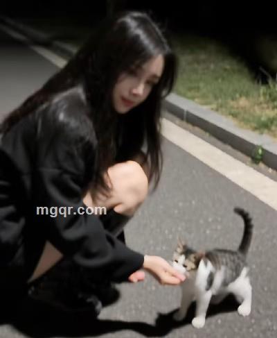 林夏的头像
