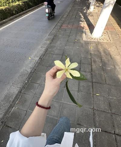 OWO的头像