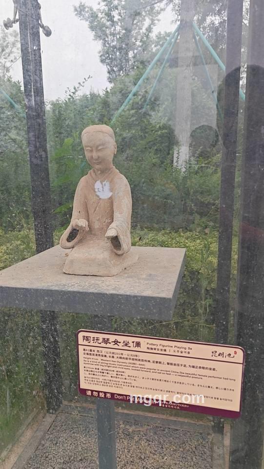 金子的头像
